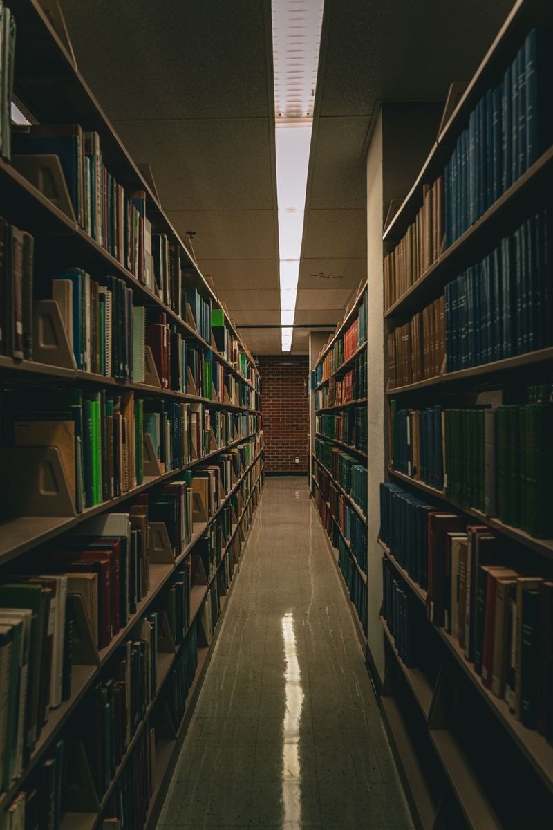 Long aisle between tall library bookshelves in soft light